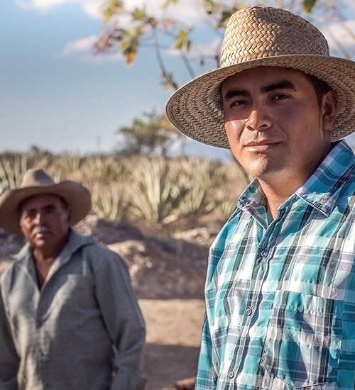 mezcalosfera